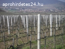 Zöld drótfonat, drótkerítés , kerítés, vadháló, drótháló